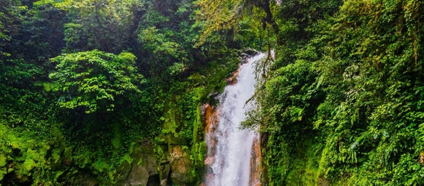 Why Choose Coldwell Banker Costa Rica