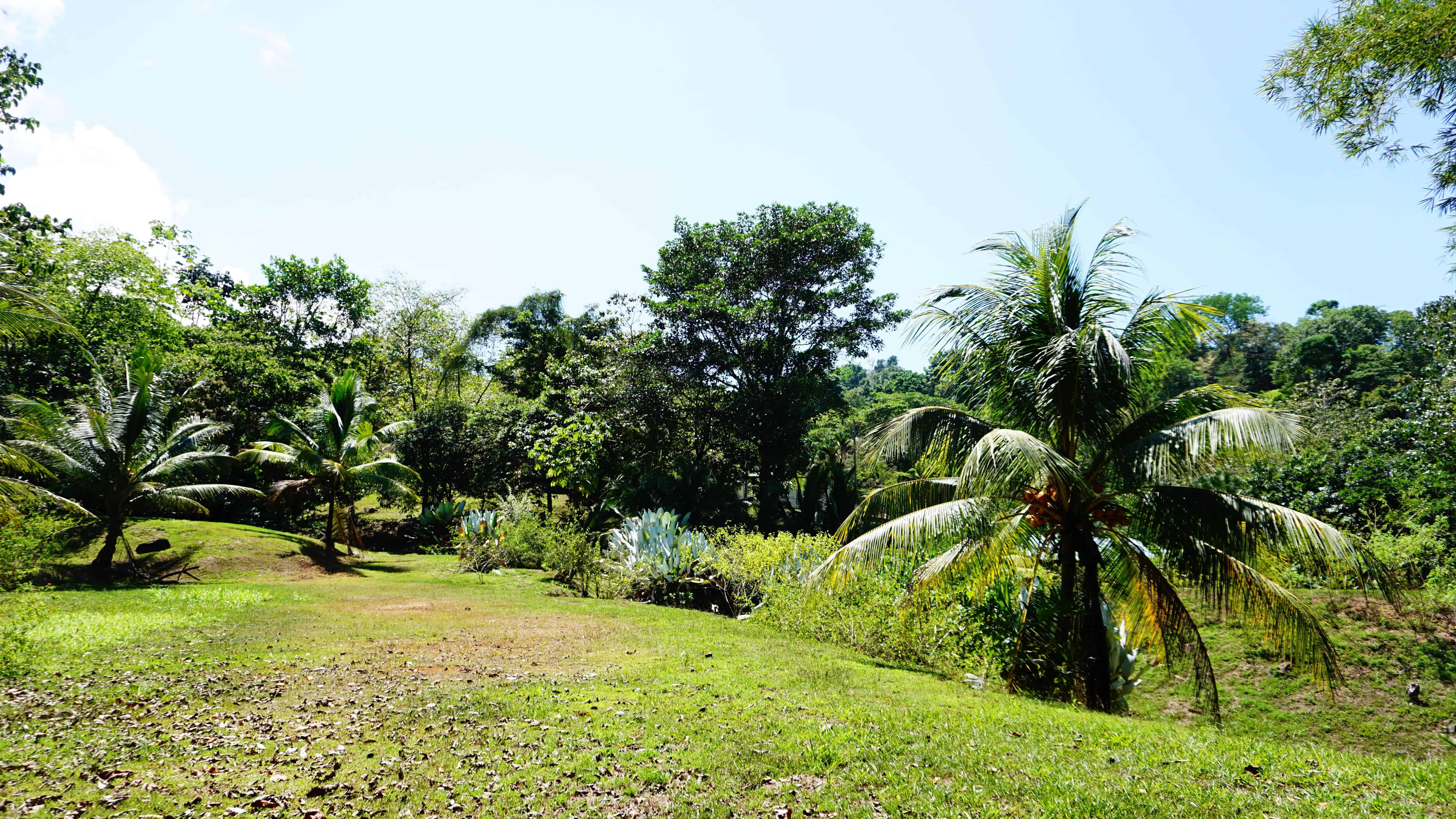 Buying land in Costa Rica can net investors incredible profits